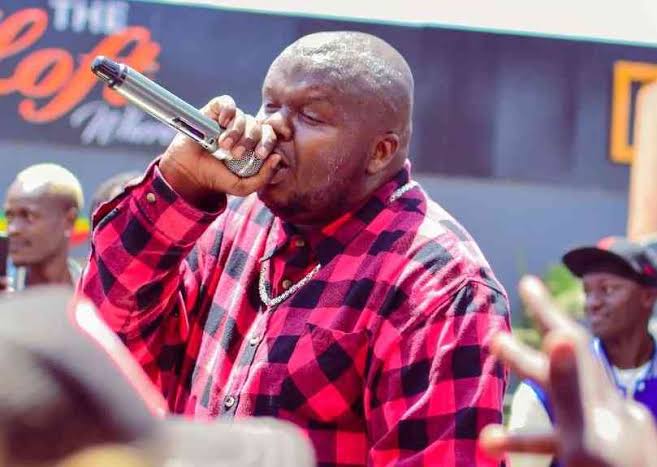 Mejja performing live in red plaid shirt, crowd in foreground